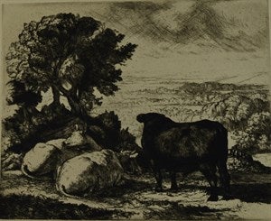 Image description is not available for DU1944.17